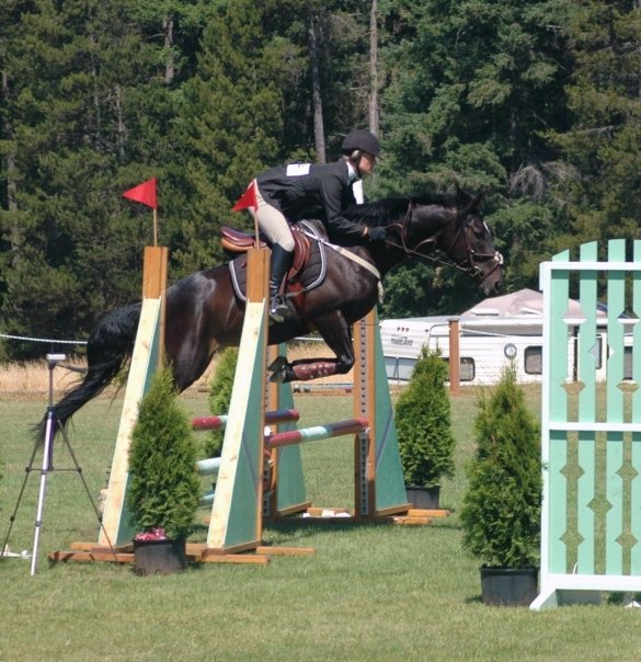 horse jumping without impulsion