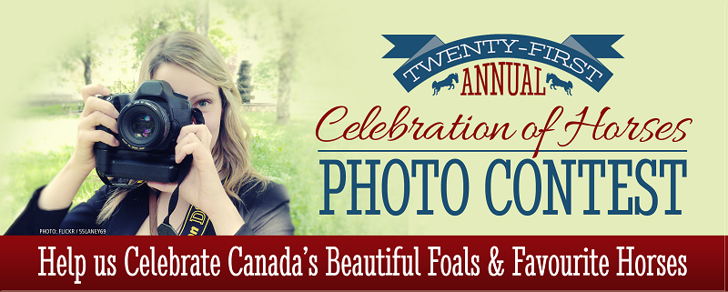 photo contest header