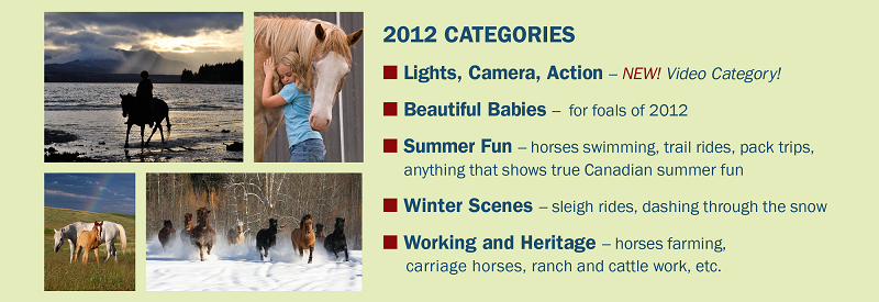 photo contest categories