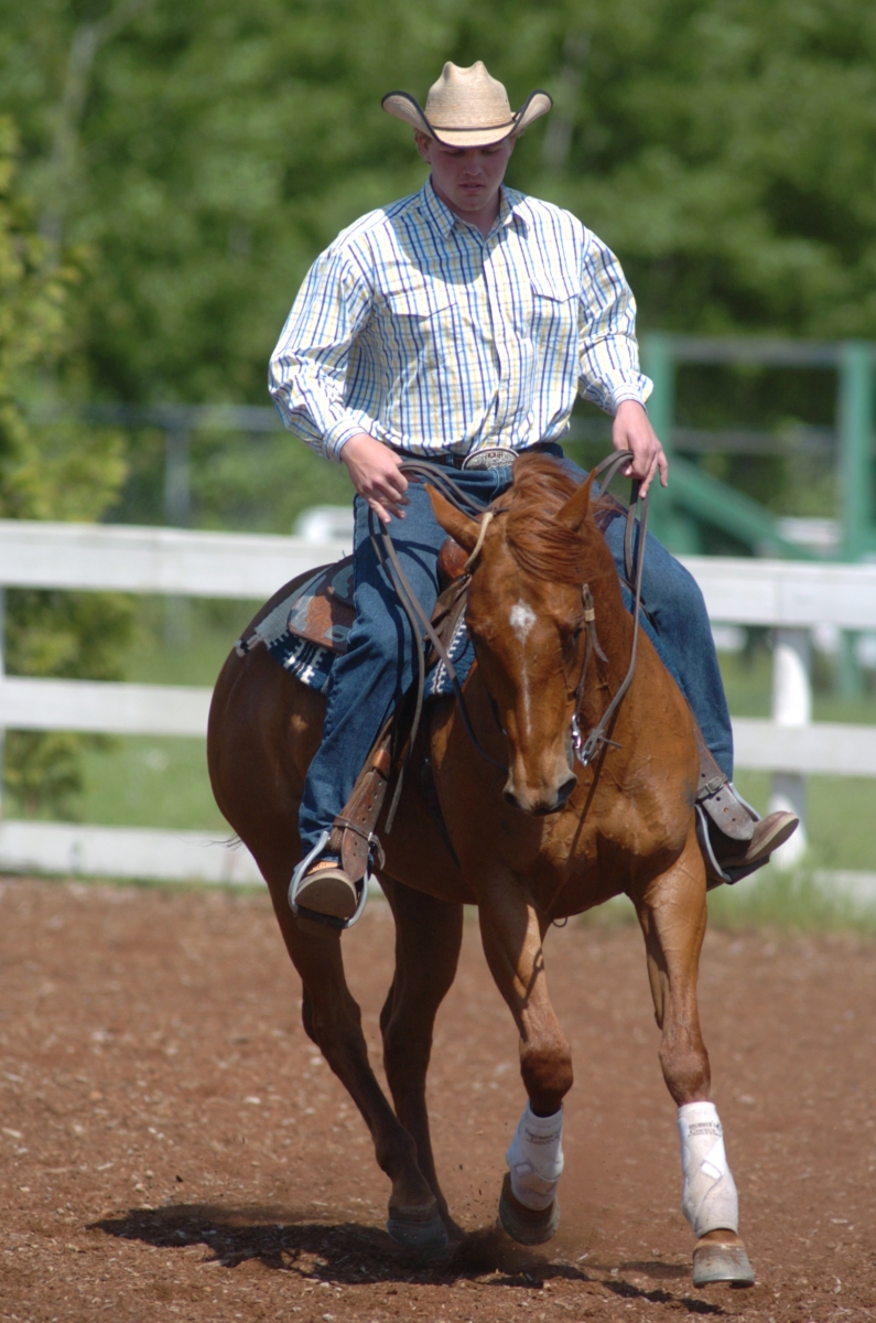 reining exercise 