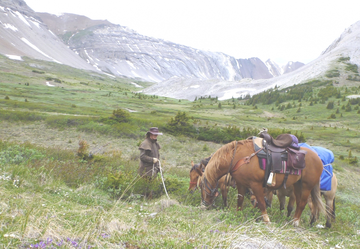 Grazing on pack trips