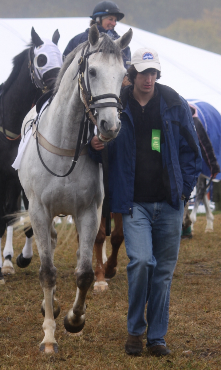Ontario horse racing industry