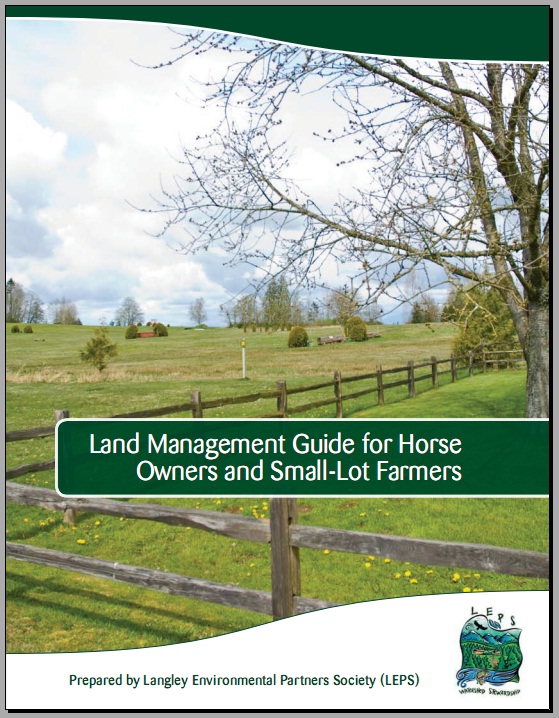 Summer Horse Equine Stable Barn Farm Management