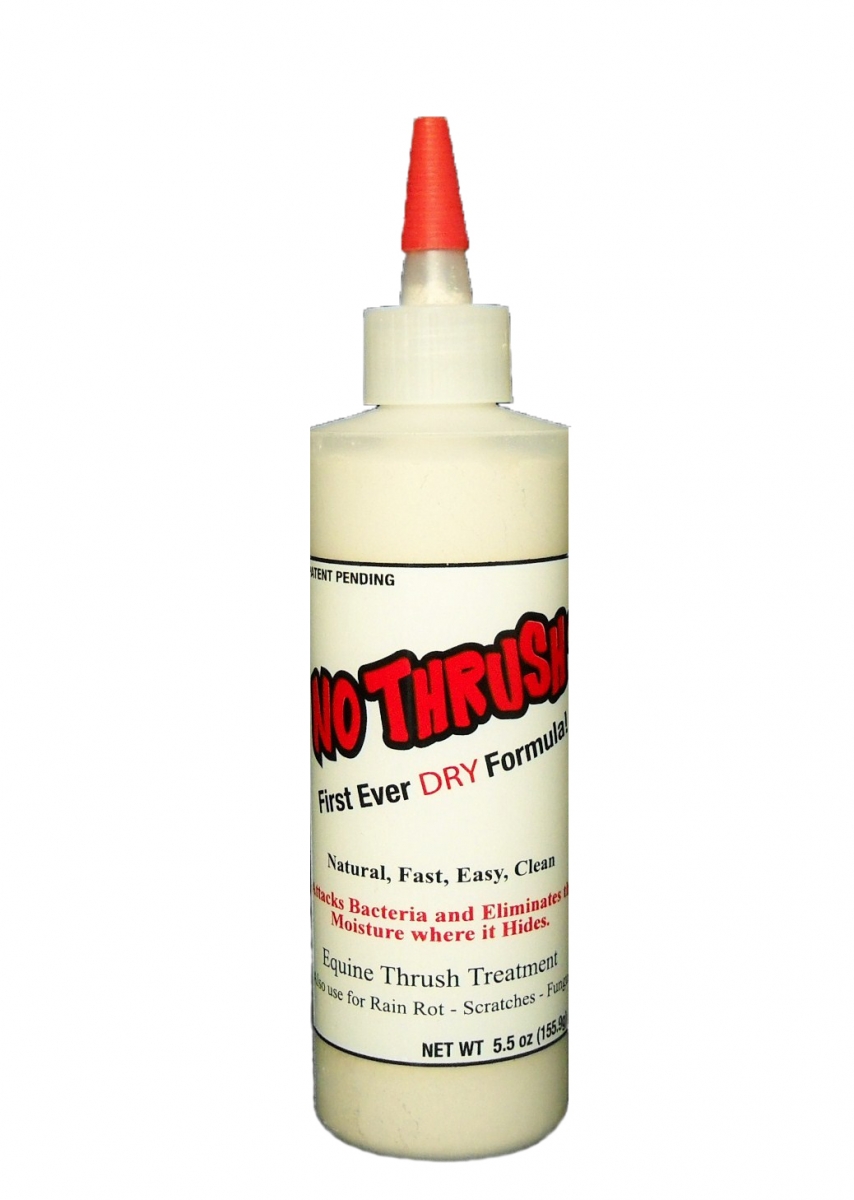 Summer Horse Care Equine Health Thrush