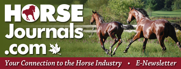 e-newsletter, chj e-newsletter, horsejournals.com e-newsletter