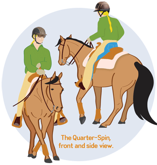 Warm-Up Horse Health Rider Health Fitness Workout