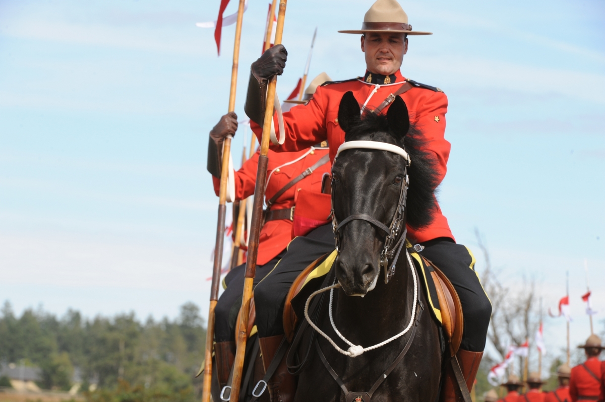 Rcmp Horse