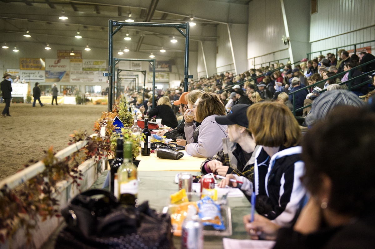 Sale Audience