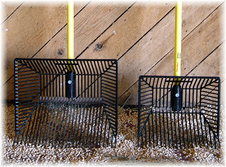 Summer Horse Equine Stable Barn Farm Stall Clean