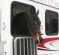 Successfully Transporting Horses with Fractures
