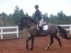 Flat Work, Flat Work, Flat Work