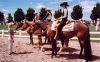 riding coach, good coach, good teacher