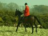 Tally Ho! 