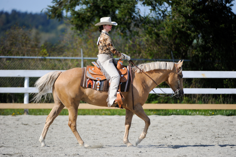 Lindsay Grice, prepare for horse show, prepare for equine show, showing a horse, how to show a horse, prepare for a dressage test, prepare for a horse jumper class, prepare for a Western horse class