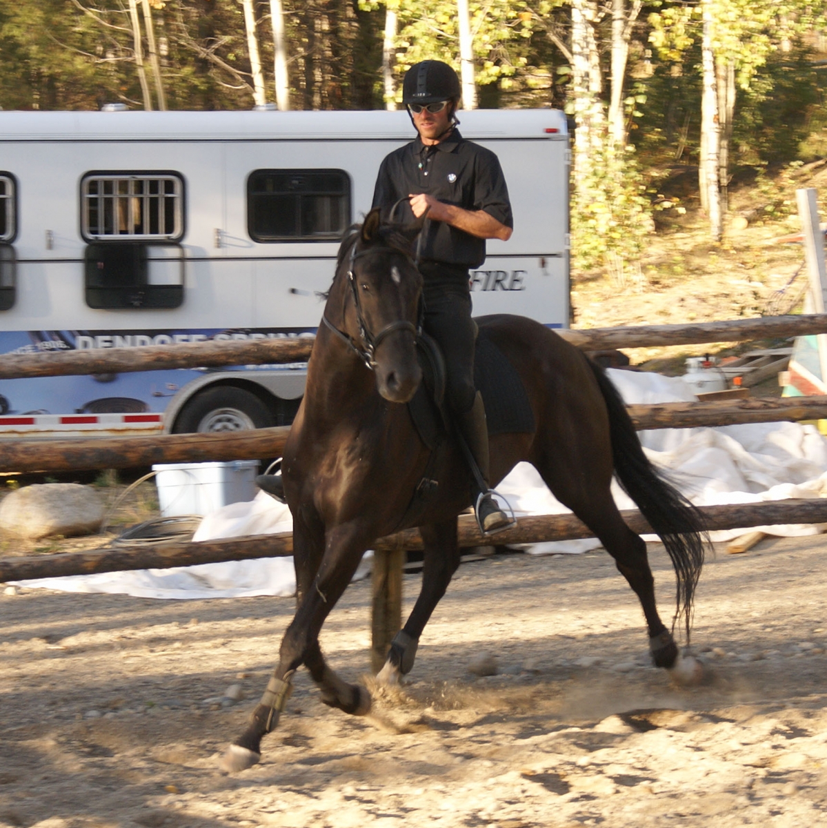 Horse Power