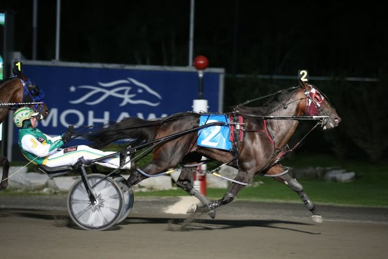 Classy Lane Stables Fire, Classy Lane Fire, Classy Lane Barn Fire, Barn Fire Ontario, Barn Fire Guelph, Classy Lane Guelph, Apprentice Hanover
