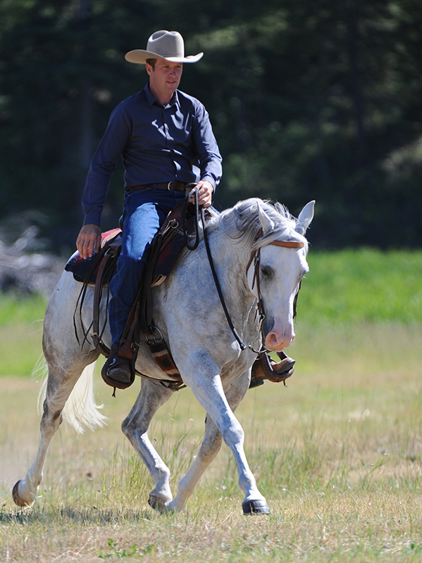 Jonathan Field, horse riding sideways, horse yoga, lateral equine exercises, half pass at trot, lateral equine exercises along fence, lateral equine exercises without fence, lateral equine exercises touching ribs, Jonathan Field Horsemanship