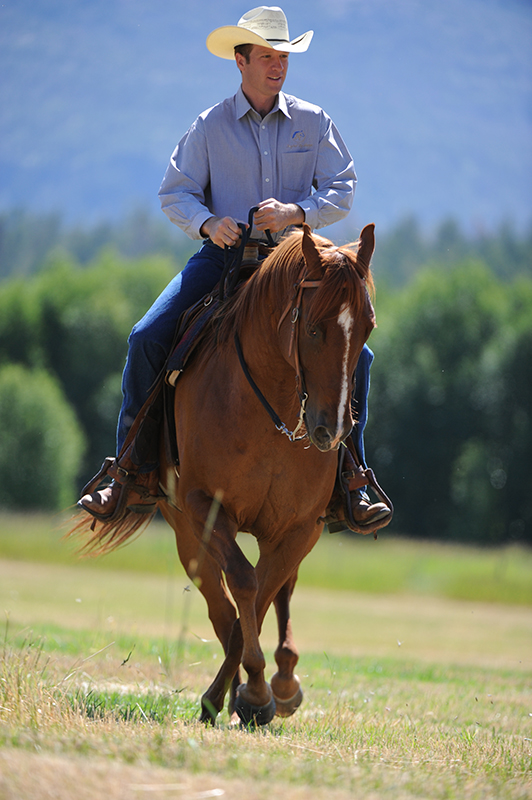 Jonathan Field, horse riding sideways, horse yoga, lateral equine exercises, half pass at trot, lateral equine exercises along fence, lateral equine exercises without fence, lateral equine exercises touching ribs, Jonathan Field Horsemanship