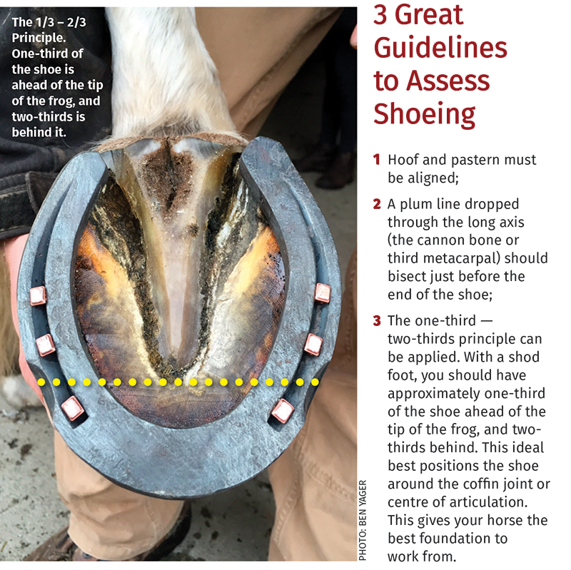 Farrier, Farriey, Ben Yager, American Farrier’s Association, equine trimming techniques, hoof-pastern alignment, farrier apprenticeship