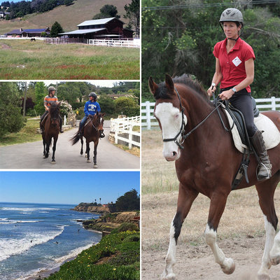 Jec A. Ballou, Giddy’up, Bon Voyage equine travel, travelling overseas with horse, equine travel, horse riding overseas, Jec Ballou horse trainer, jec aristotle ballou, western dressage, jec ballou, dressage exercises for horse and rider, jec ballou equine fitness beyond horse massage