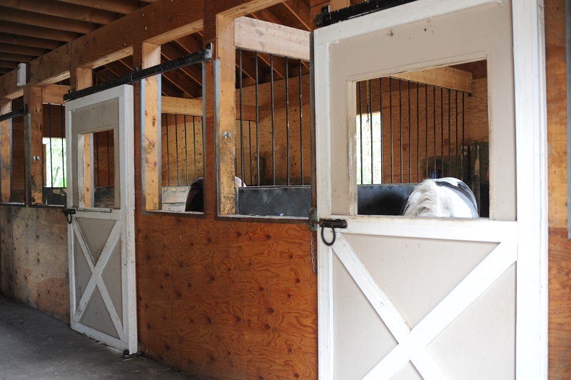 Horse owner's vacation checklist, horse care, equine care, horse worries, keep horses safe while you vacation