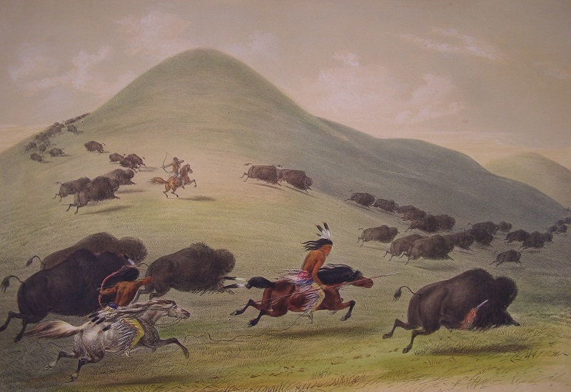 Horse Changed West, Todd Kristensen, Jack Brink, horse extinction in Alberta Canada, palaeontology, horse history Canada, history horses in canada, Mexican horse, Equus conversidens, domestic horse alberta canada