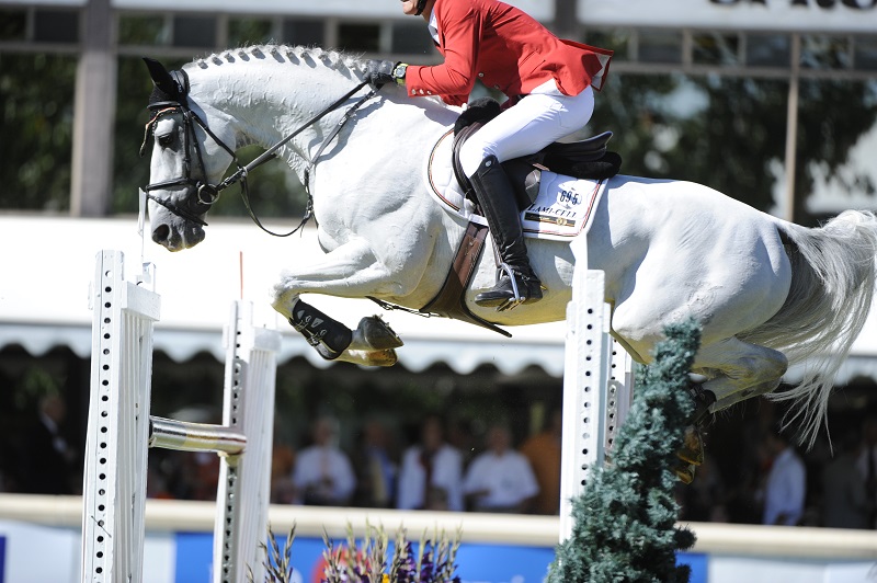 sticking the landing showjumping, sidonia mcIntyre, bascule phase horse jump, Federico Caprilli, Caprilli Method, equine kissing spine