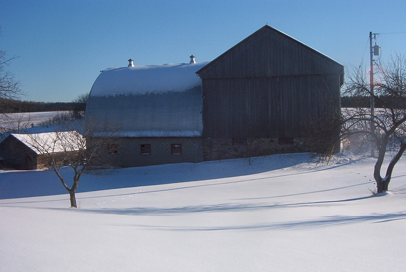 perfect horse barn, renovating horse barn, horse barn makeover, horse bank barn, dutch masters construction, horse tack room, horse feed room, horse wash stall, horse barn rubber mats 
