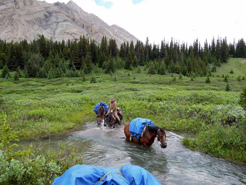 Traversing Canadian Rockies, Tania Millen, holidays on horseback, Alberta pack-trip, Azure Lake, Sulphur River, Jasper National Park, Summit pass, crossing Chown Creek