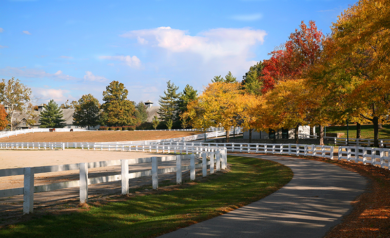 horse barn Fires, fire safety horse barns, horse fire, dressage arena fire, ventilation in horse barns, no smoking horse barns, fire extinguisher horse barns, Tanya Bettridge, determining casue horse barn fire, horse barn fire hazards, horse barn fire prevention