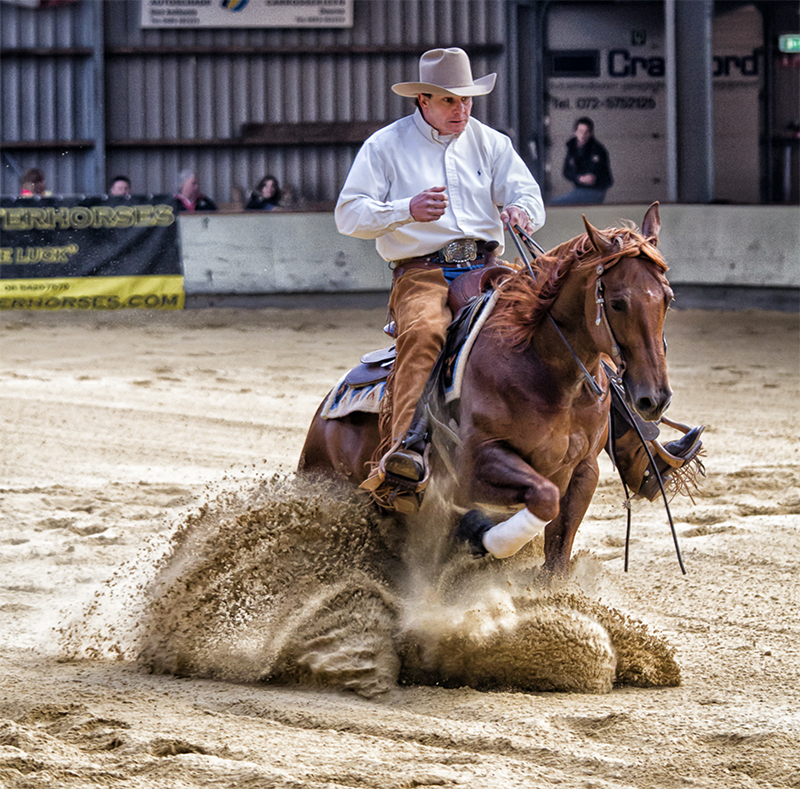 Shelagh Niblock, Optimizing equine Metabolism, equine energy metabolism, equine Foregut digestion, equine hindgut digestion, optimizing energy metabolism, equine feed processing pelleting extrusion, Hi-Pro Feeds, horse care