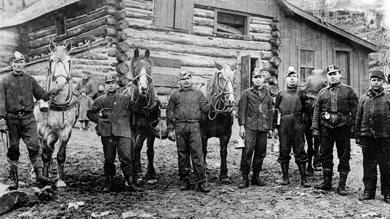 Pit Ponies, Pit Horses, pit pony history, miner Ceri Thompson, Canadian Coal Mining history, Sable Island, underground stables, Underground haulage, Coal Mining Canada