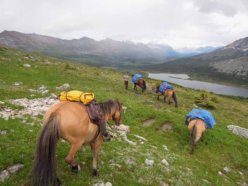 Traversing Canadian Rockies, Tania Millen, holidays on horseback, Alberta pack-trip, Azure Lake, Sulphur River, Jasper National Park, Summit pass, crossing Chown Creek