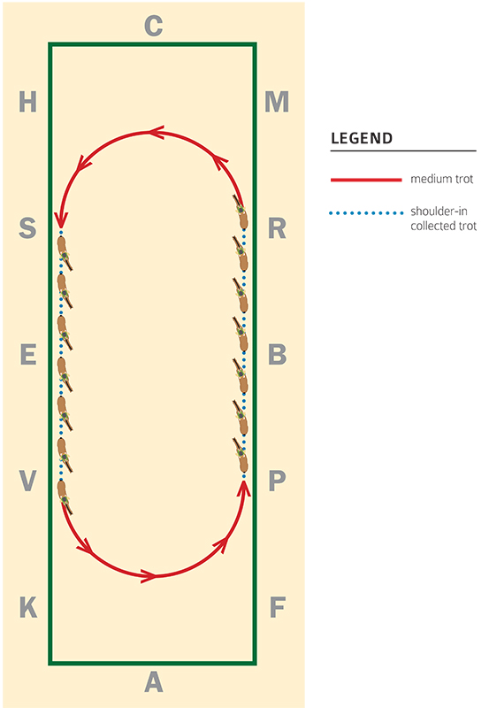 How ride shoulder-in loop dressage, horse trainer Andrea Taylor, dressage exercises