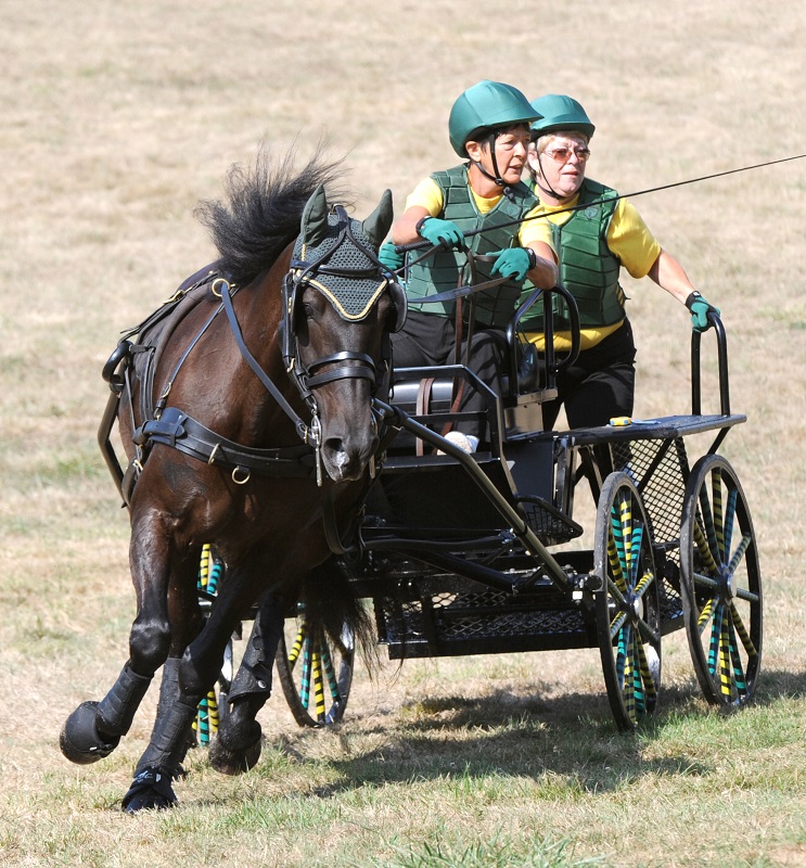 Soul of Canada, draft horses, history draft horse, four-wheeled pull-grader, Mechanical Workhorses, Horse breeding programs, history Clydesdale horse, horse logging history, Canadian horse history, Belgian horse, history percheron horse