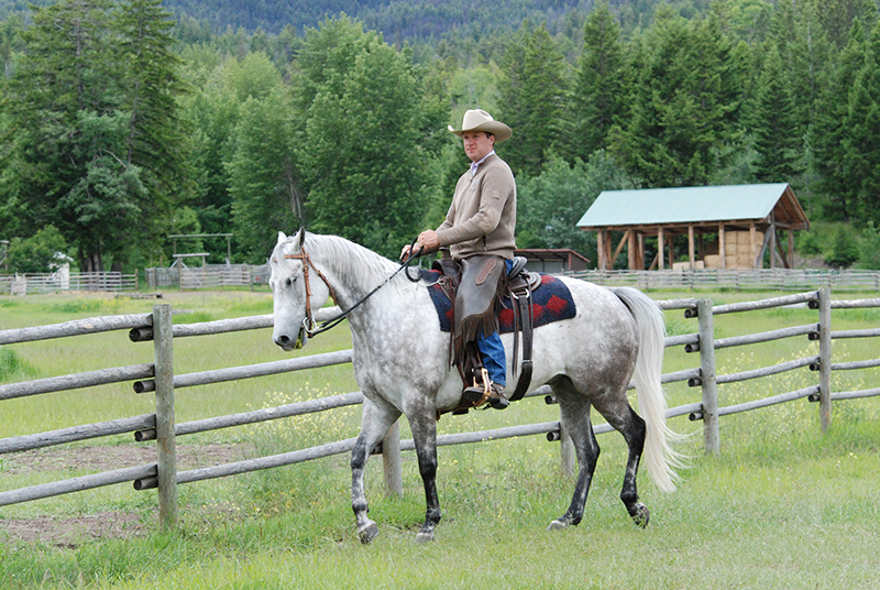 Jonathan Field, horse riding sideways, horse yoga, lateral equine exercises, half pass at trot, lateral equine exercises along fence, lateral equine exercises without fence, lateral equine exercises touching ribs, Jonathan Field Horsemanship
