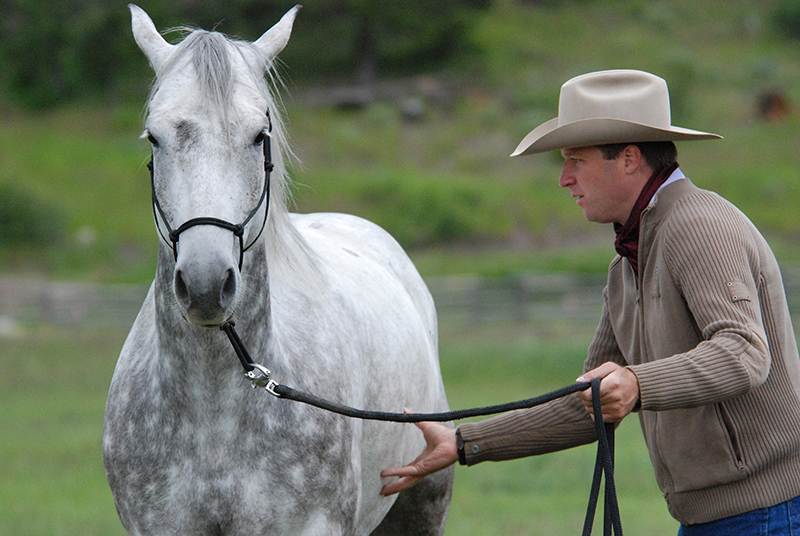 Jonathan Field, horse riding sideways, horse yoga, lateral equine exercises, half pass at trot, lateral equine exercises along fence, lateral equine exercises without fence, lateral equine exercises touching ribs, Jonathan Field Horsemanship