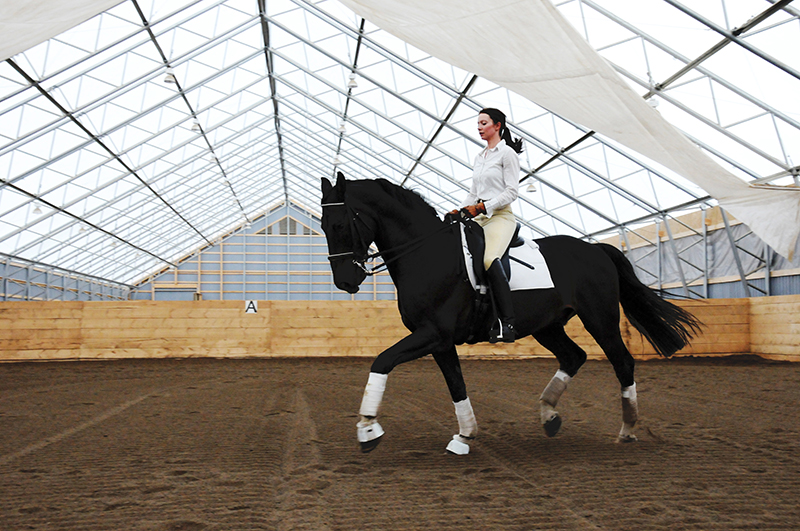 horse riding arena, indoor horse riding arenas, building horse riding arena, we cover, dutchmasters, ironwood building systems, fabric covered horse riding arena, wood post frame horse riding arena, lindsay day remt, steel frame horse riding arena, pre-engineered horse riding arenas, pre-built horse riding arenas, horse arena footing, pdi lasergrade, horse riding arena permit