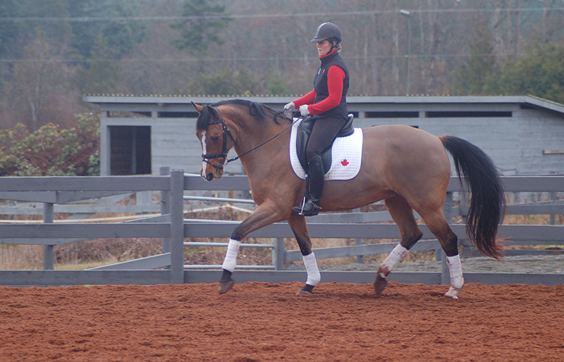 starting out right horse foot, nancy tapley, horse warm-up, Karen brain, horse riding technique, horse training, Shannon Dueck, horse leg yield, equine leg yield, horse leg yield circle, hunter jumper exercises, Leg-Yielding Out Circle