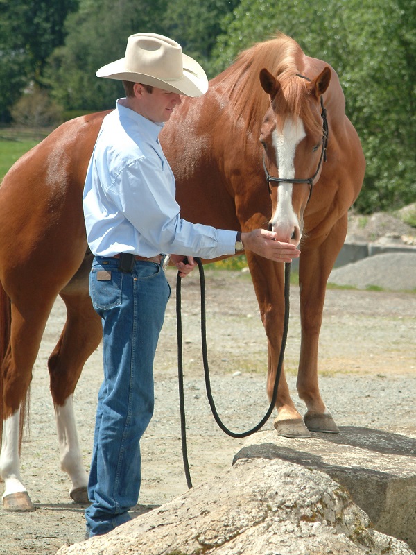 Jonathan Field, fun horse riding, setting horse riding goals, make horse riding fun