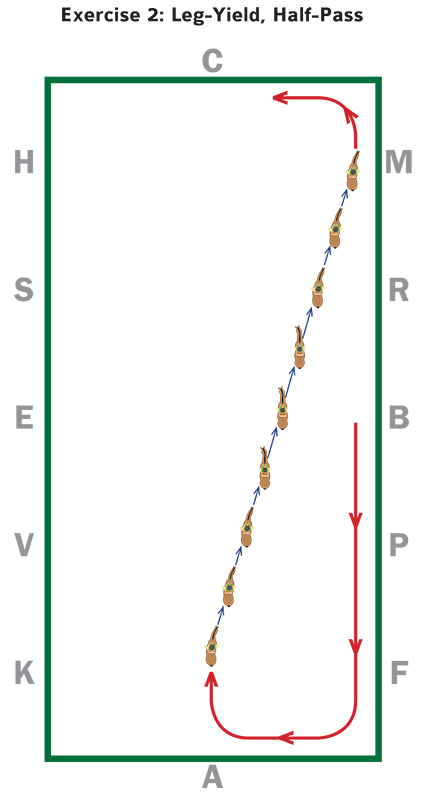 Bonny Bonnello, horse contact, horse riding contact, horse connection, horse riding connection, dressage contact, dressage connection, half-halt trot lengthening, Half-pass exercise, Leg-yield exercise, Half-pass exercise