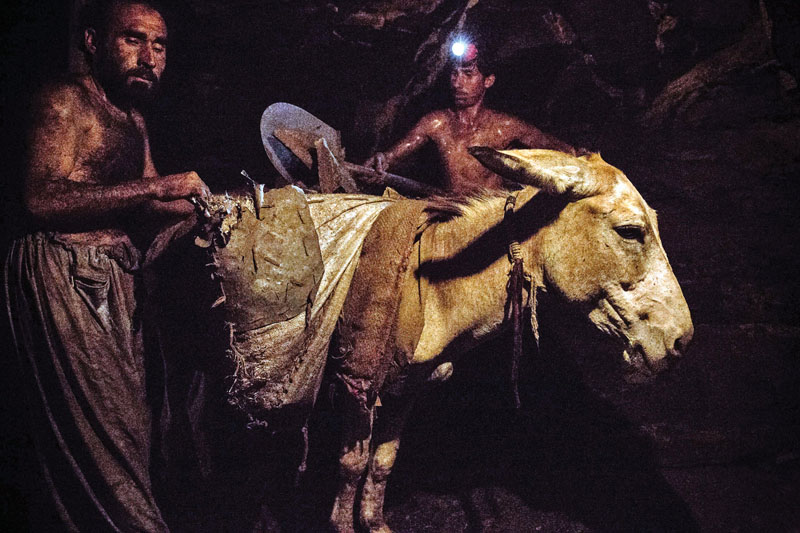 Pit Ponies, Pit Horses, pit pony history, miner Ceri Thompson, Canadian Coal Mining history, Sable Island, underground stables, Underground haulage, Coal Mining Canada