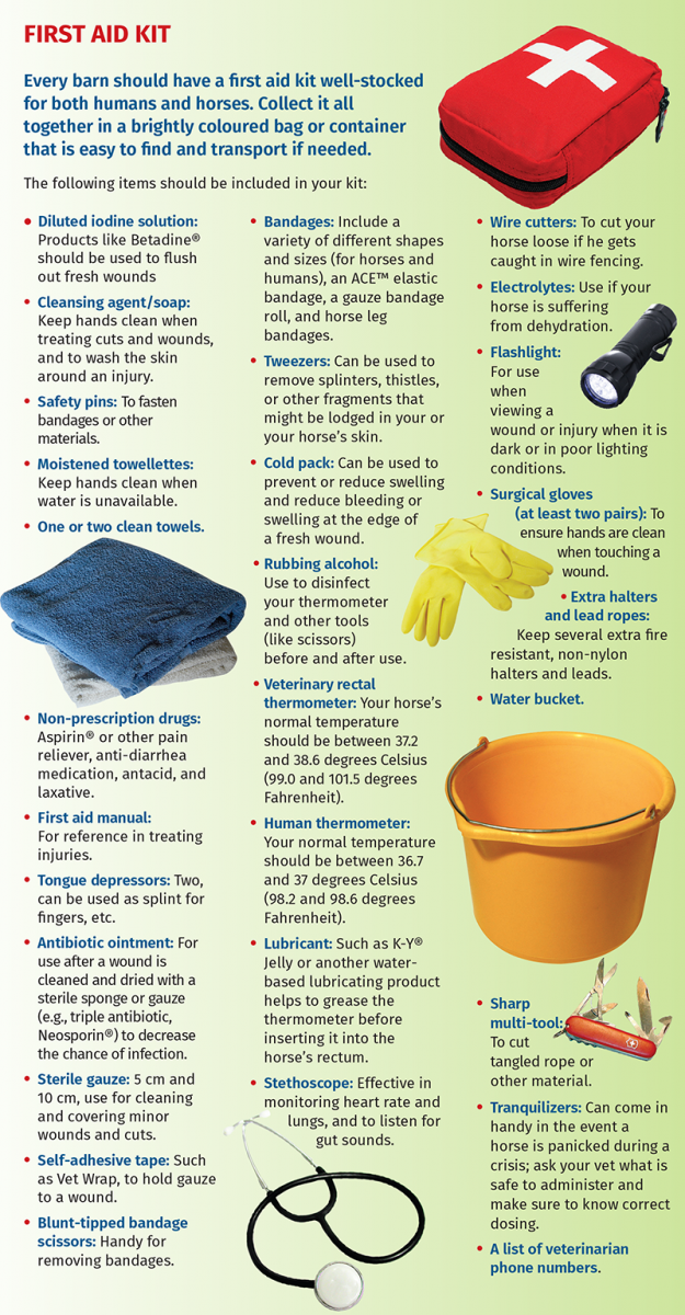 wildfire prepared, flood prepared, earthquake prepared, Fort McMurray fire, emergency evacuation, natural disasters, emergency preparedness plan, returning home after natural disaster, horse ID, horse safety