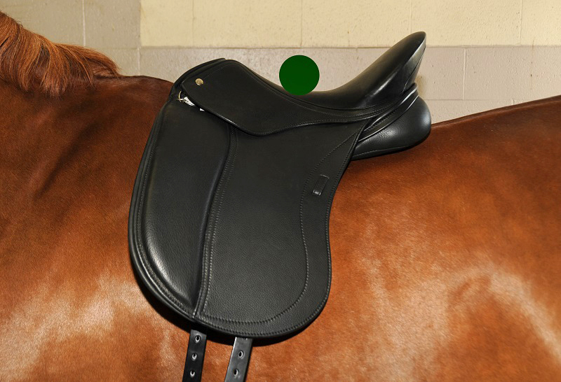 horse saddle fit, heavy horse rider, horse saddlefit4life, schleese, sabine schleese, jochen schleese, horse saddles for women, heavier horse rider, overweight horse rider, horse rider fitness