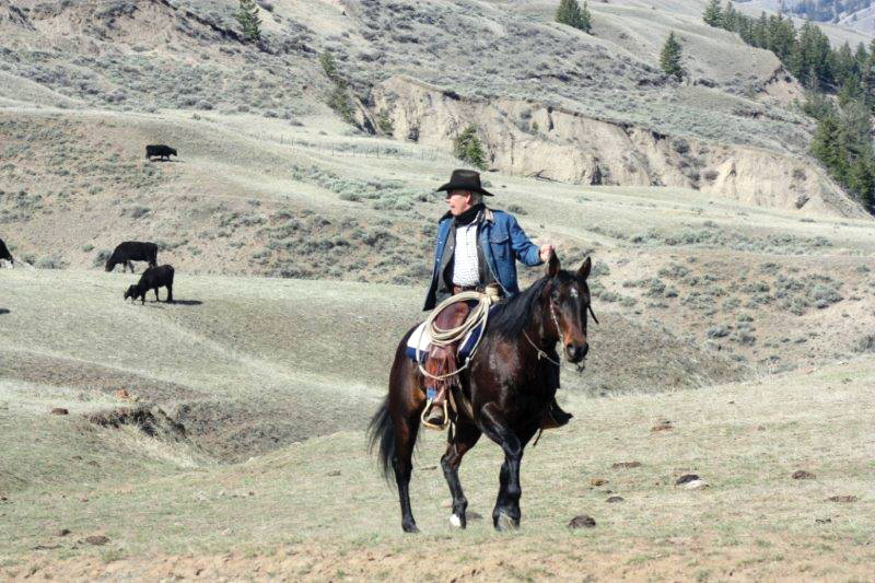 Canadian Ranching Heritage, Margaret Evans, cattle ranching, Cariboo gold rush 1858, Alkali Lake Ranch, Eddie Bambrick, Douglas Lake Ranch, Gang Ranch, Lord Aberdeen, Bar U Ranch, John Ware, Captain Charles Augustus Lyndon