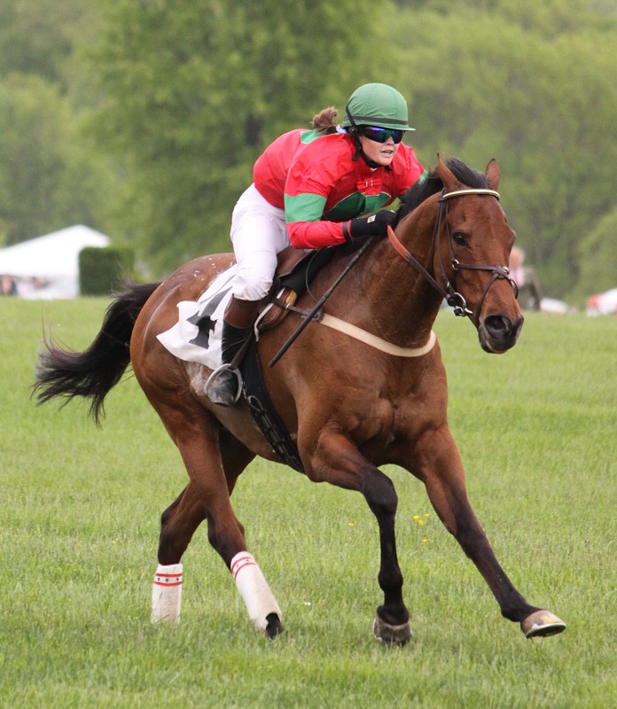 Hans Wiza, good horse hooves vs bad horse hooves, horse care, horse health, equine coronary band, equine canon bone, hoof cracking, hoof flaking, hoof splitting, hoof bending, hoof folding, trimming horse hooves, equine pastern