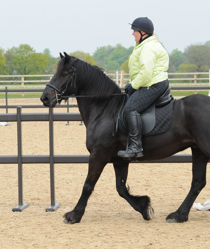 horse saddle fit, heavy horse rider, horse saddlefit4life, schleese, sabine schleese, jochen schleese, horse saddles for women, heavier horse rider, overweight horse rider, horse rider fitness