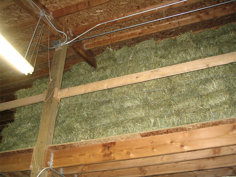 horse barn Fires, fire safety horse barns, horse fire, dressage arena fire, ventilation in horse barns, no smoking horse barns, fire extinguisher horse barns, Tanya Bettridge, determining casue horse barn fire, horse barn fire hazards, horse barn fire prevention