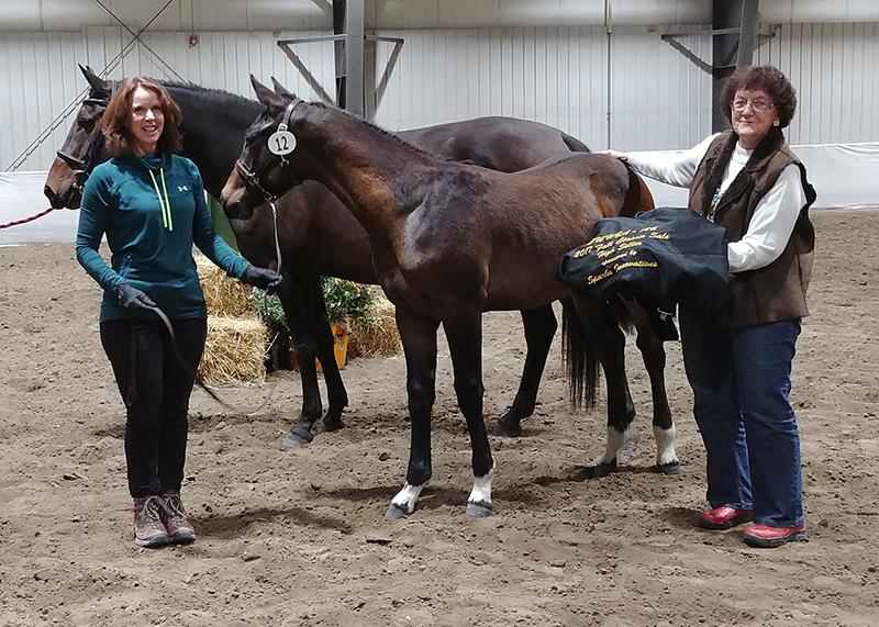 Teresa van Bryce, 2017 Fall Classic Breeders Sale Results, 23rd annual Fall Classic Breeders, Chris Gould Touchstone Farm, Jennekke Hoogendoorn High Thorn Equestrian, Penny Yeager