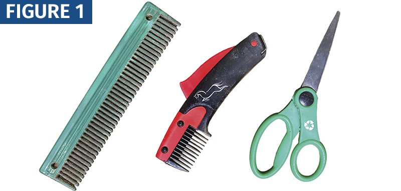 HOW TO Shorten a horse's Mane trimming horse's mane with scissors horse grooming horse mane grooming
